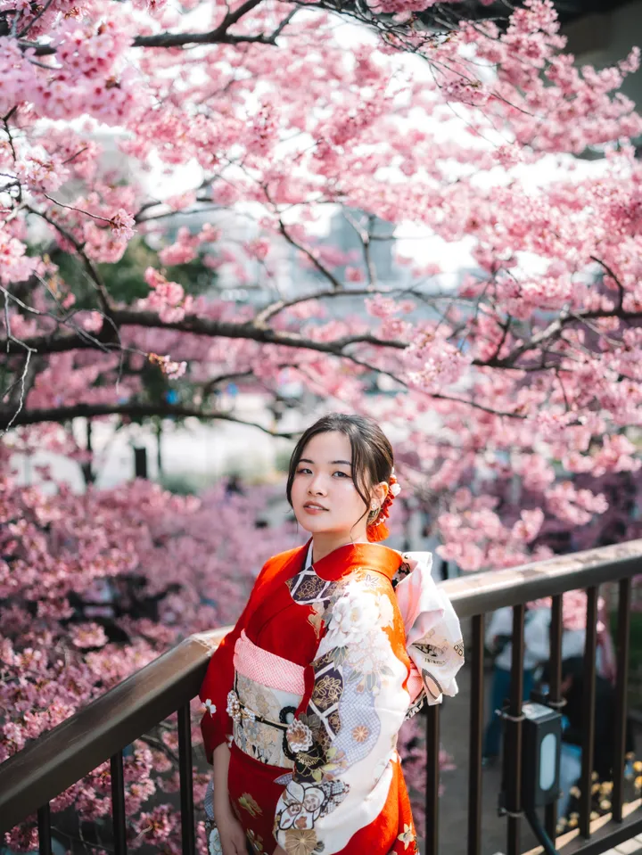 Whispers of Edo: Tokyo Kimono Photoshoot Experience in Asakusa