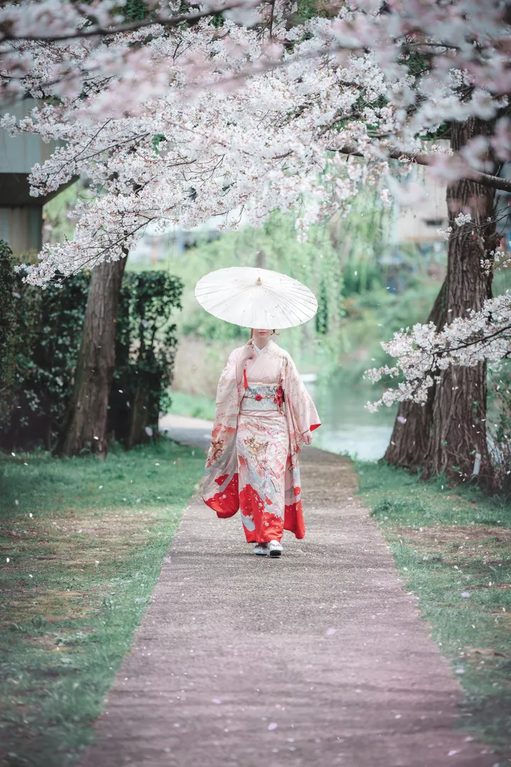 Sakura Elegance: Exclusive Cherry Blossom Photoshoot in Kyoto