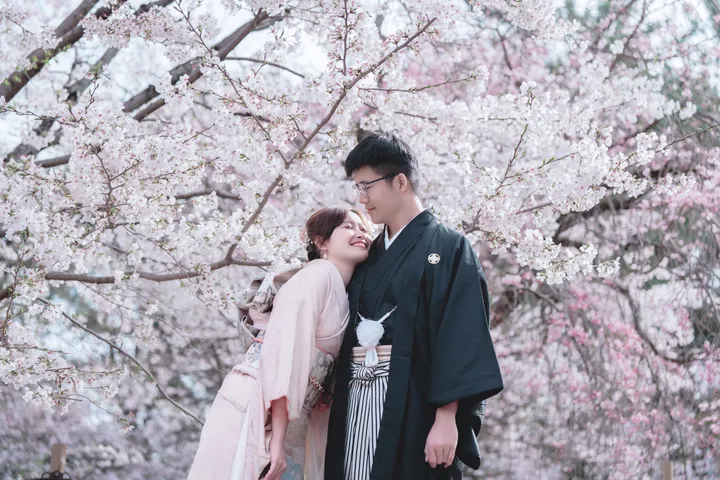 Sakura Elegance: Exclusive Cherry Blossom Photoshoot in Kyoto