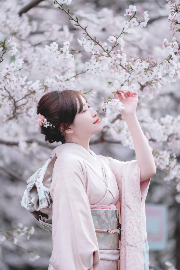 Sakura Elegance: Exclusive Cherry Blossom Photoshoot in Kyoto