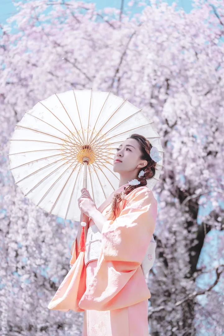 Sakura Elegance: Exclusive Cherry Blossom Photoshoot in Kyoto