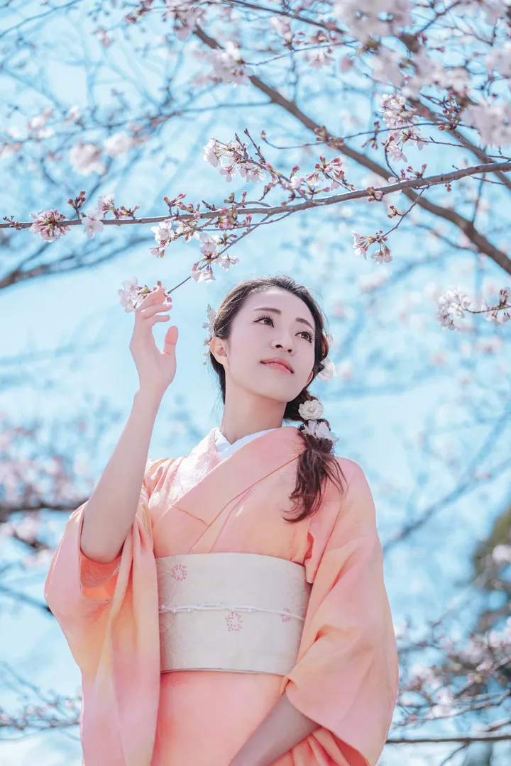 Sakura Elegance: Exclusive Cherry Blossom Photoshoot in Kyoto