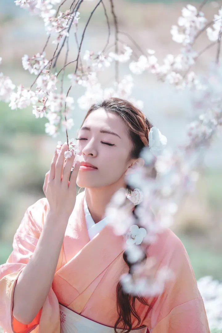 Sakura Elegance: Exclusive Cherry Blossom Photoshoot in Kyoto