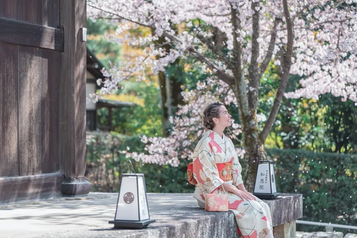 Sakura Elegance: Exclusive Cherry Blossom Photoshoot in Kyoto