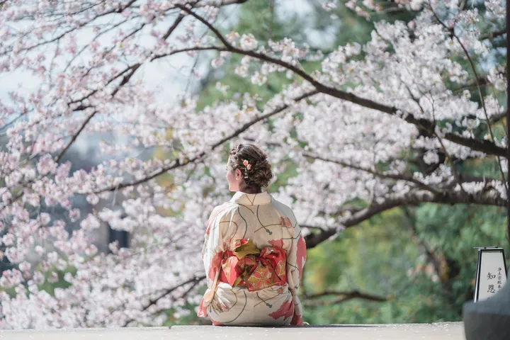 Sakura Elegance: Exclusive Cherry Blossom Photoshoot in Kyoto