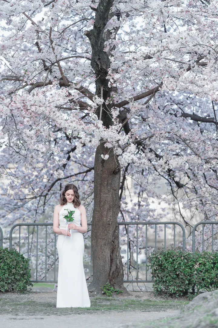 Sakura Elegance: Exclusive Cherry Blossom Photoshoot in Kyoto