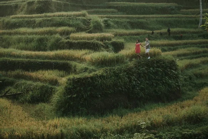 Cinematic Couple Photoshoot in Ubud at Best Romantic Locations