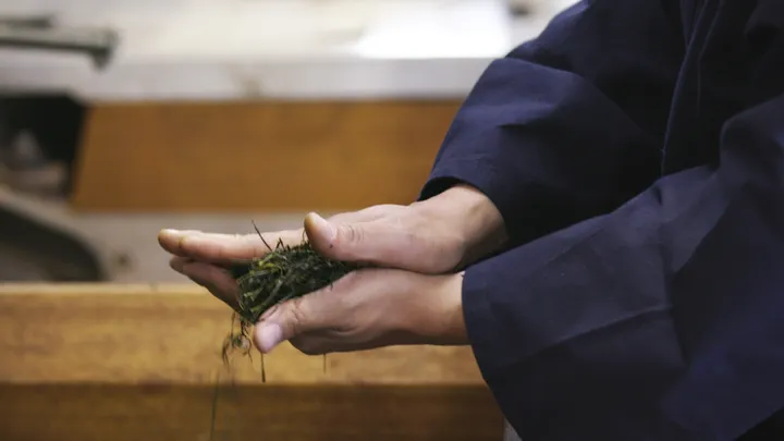 Tea Ceremony Photoshoot at the foot of Mount Fuji with a Tea Master