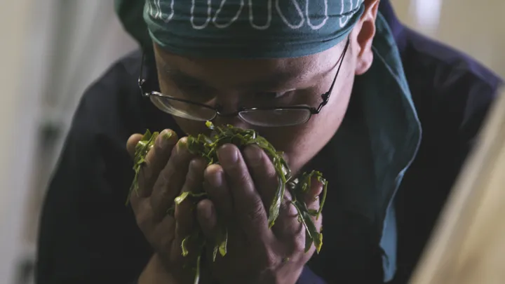 Tea Ceremony Photoshoot at the foot of Mount Fuji with a Tea Master