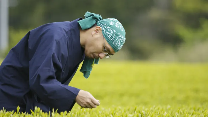 Tea Ceremony Photoshoot at the foot of Mount Fuji with a Tea Master