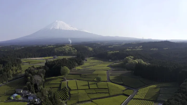 Tea Ceremony Photoshoot at the foot of Mount Fuji with a Tea Master