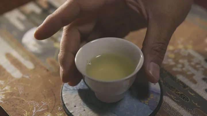 Tea Ceremony Photoshoot at the foot of Mount Fuji with a Tea Master