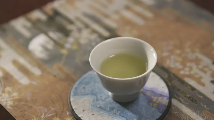 Tea Ceremony Photoshoot at the foot of Mount Fuji with a Tea Master