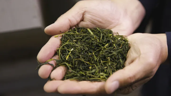 Tea Ceremony Photoshoot at the foot of Mount Fuji with a Tea Master