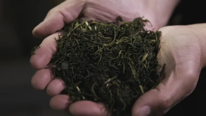 Tea Ceremony Photoshoot at the foot of Mount Fuji with a Tea Master